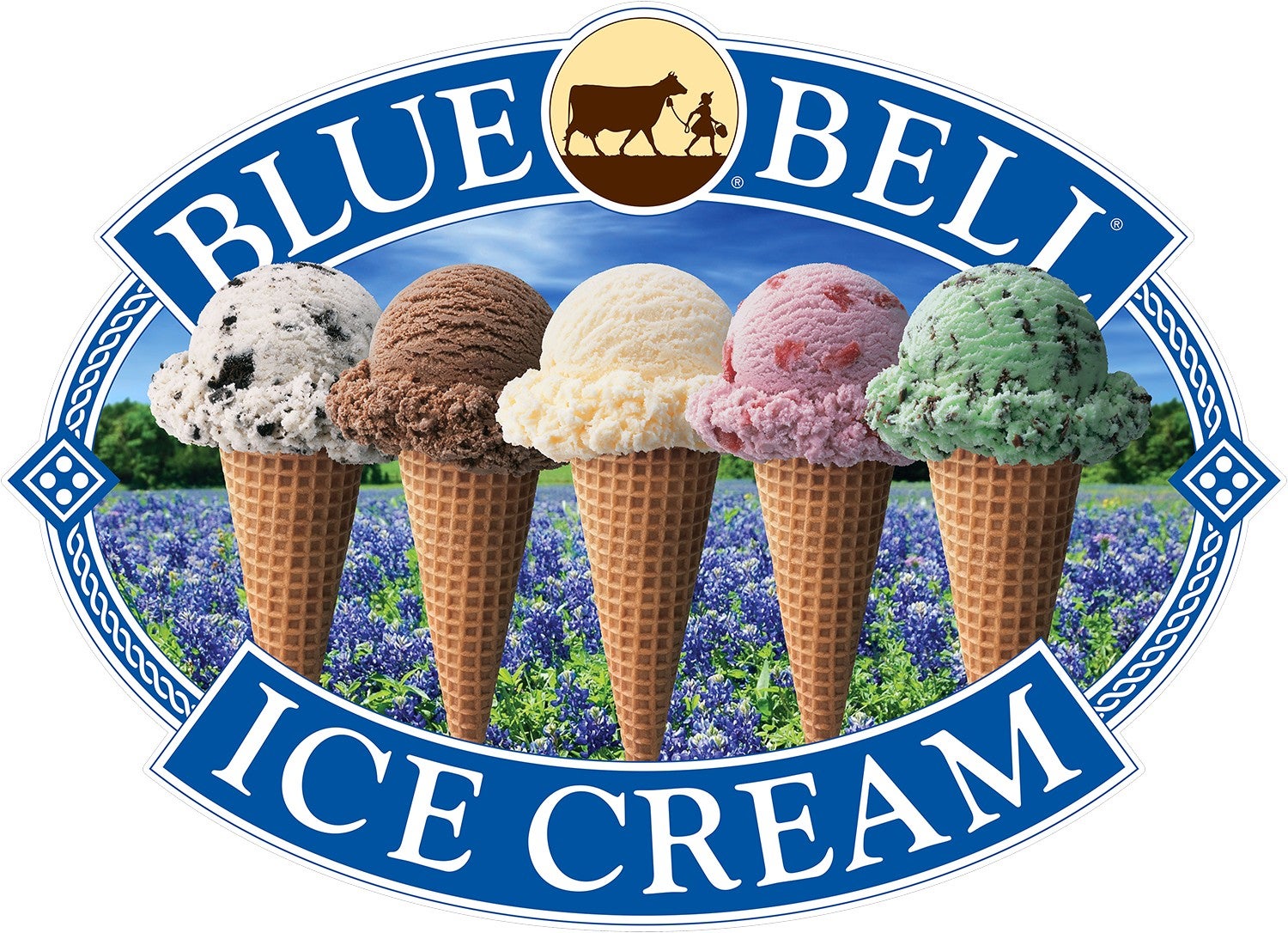 Blue Bell Ice Cream Cups & Cones | Fetterman's: Deli • Coffee